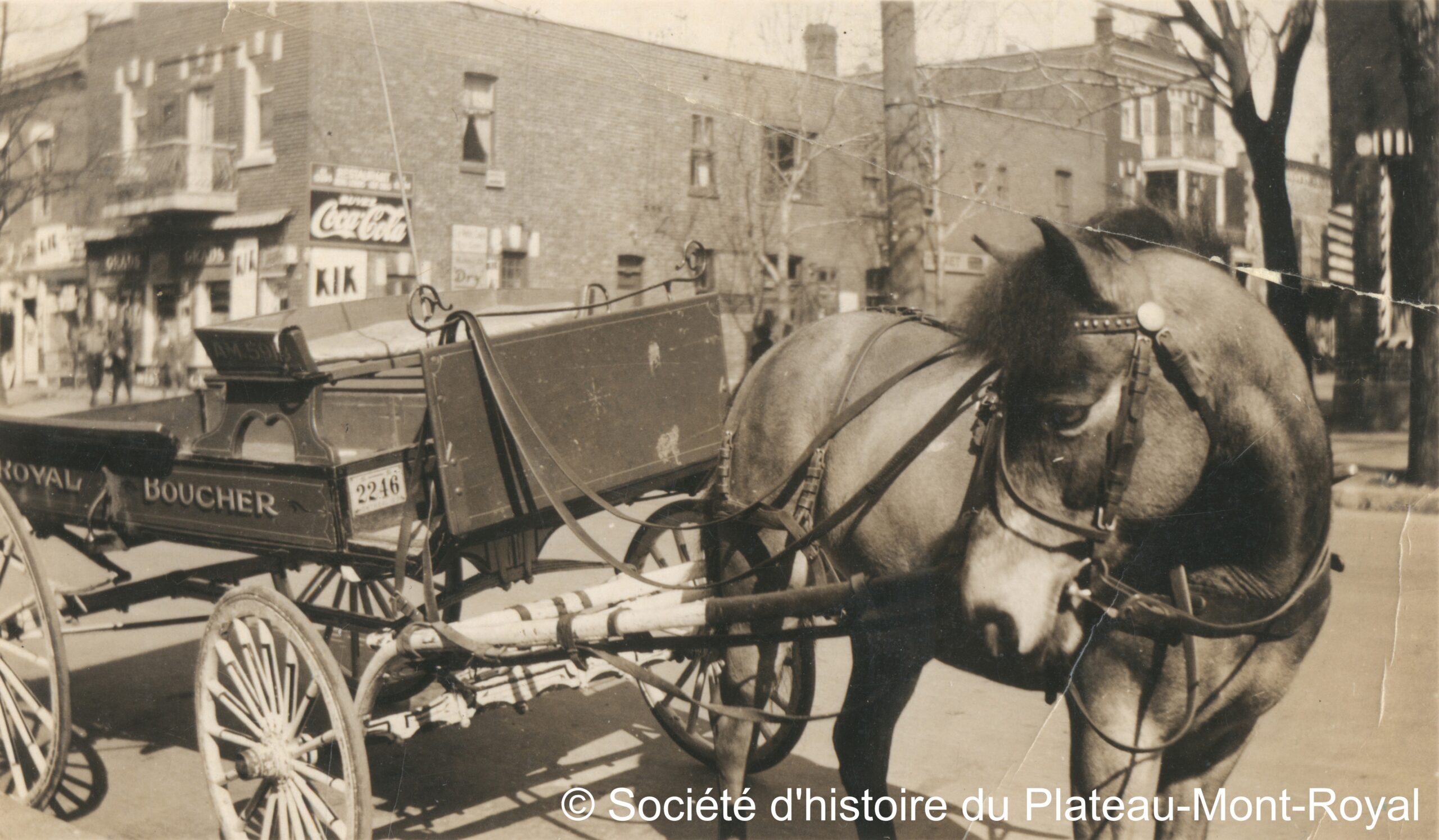 Image deTraces de mémoire – campagne de valorisation des membres FHQ